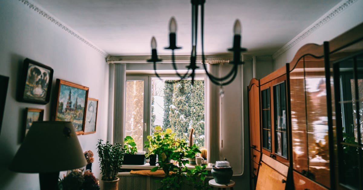 Cień im niestraszny: 15 roślin doniczkowych do zacienionych wnętrz