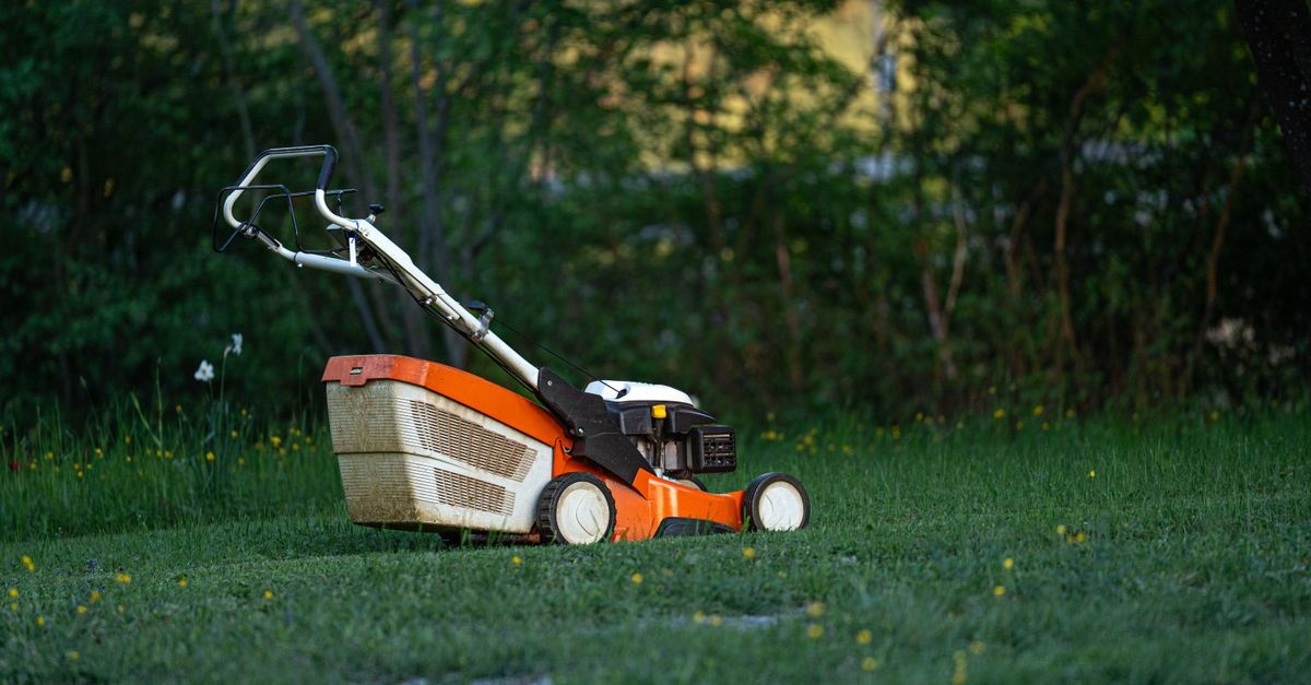 Idealna kosiarka do 1000 m²: porównanie spalinowych, akumulatorowych i robotów – co wybrać do Twojego ogrodu?